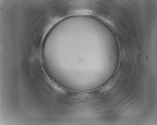 X0000069391470200605150930