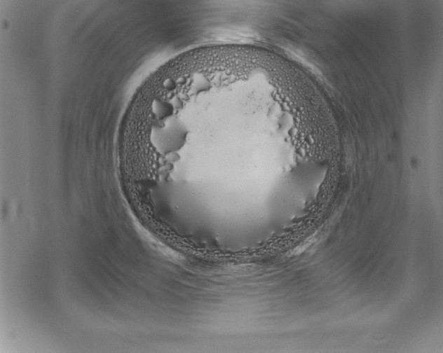 X0000069391471200605150930