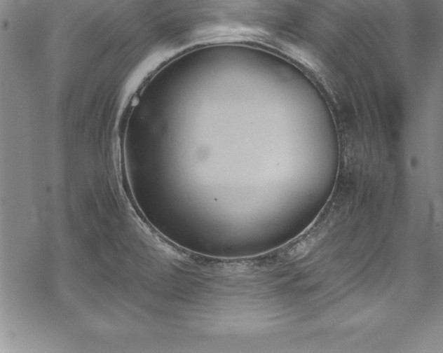 X0000069391472200605150930