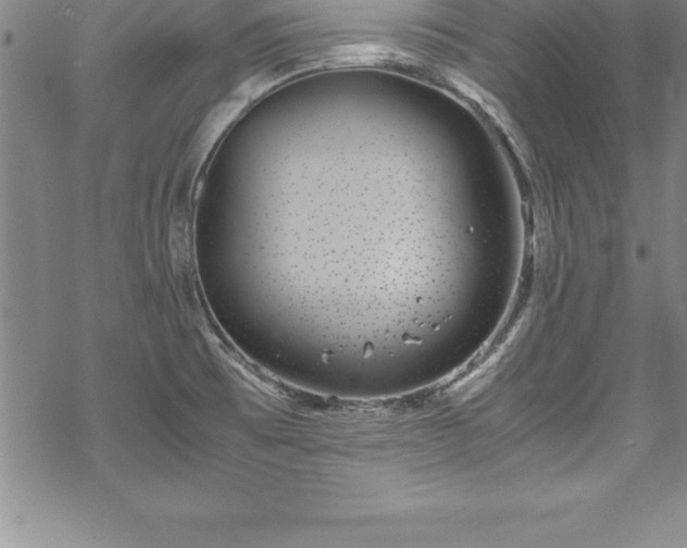 X0000069391473200605150930