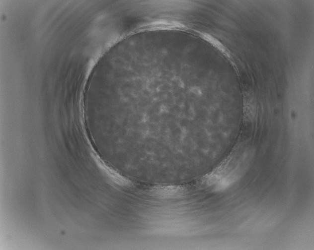 X0000069391474200605150930