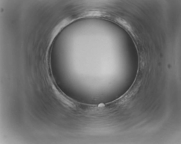 X0000069391475200605150930