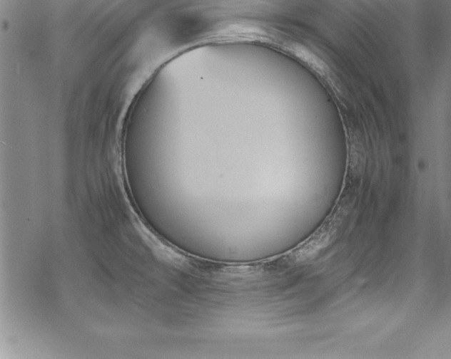 X0000069391478200605150930