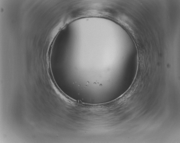 X0000069391479200605150930