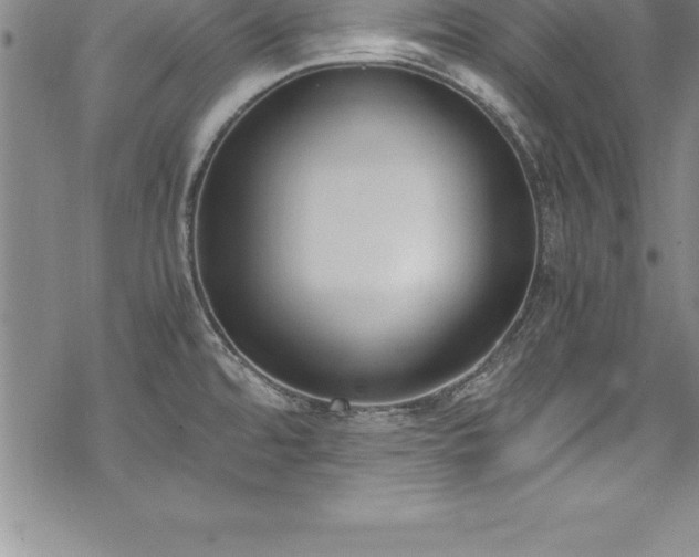 X0000069391480200605150930