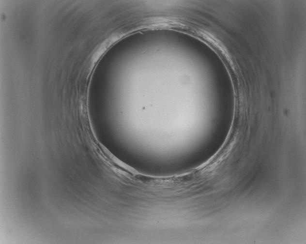 X0000069391481200605150930