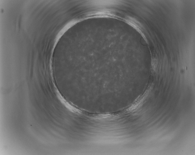 X0000069391482200605150930