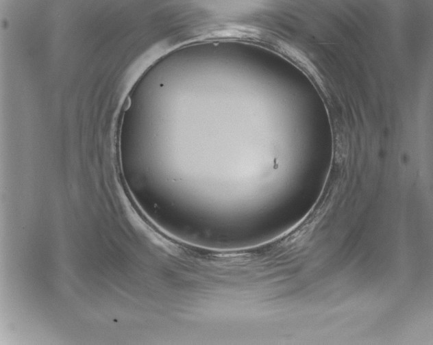 X0000069391483200605150930