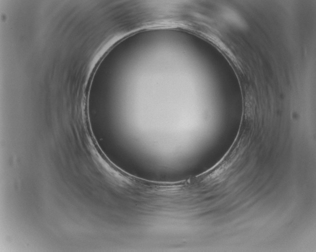 X0000069391484200605150930