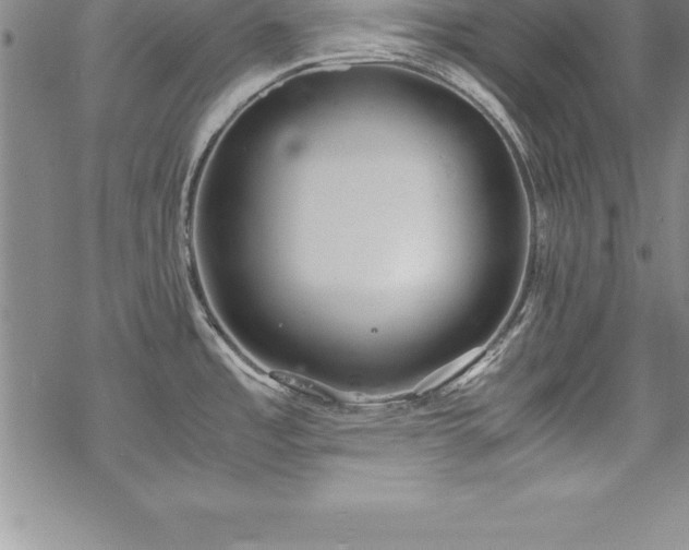 X0000069391485200605150930