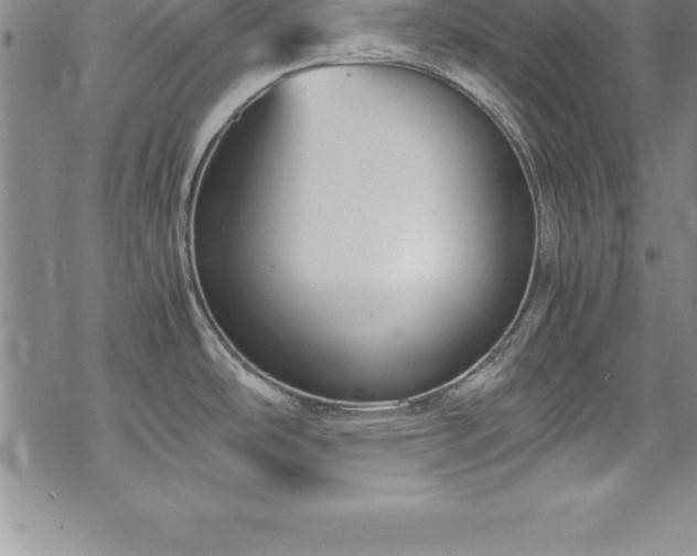 X0000069391486200605150930