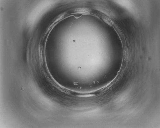 X0000069391487200605150930