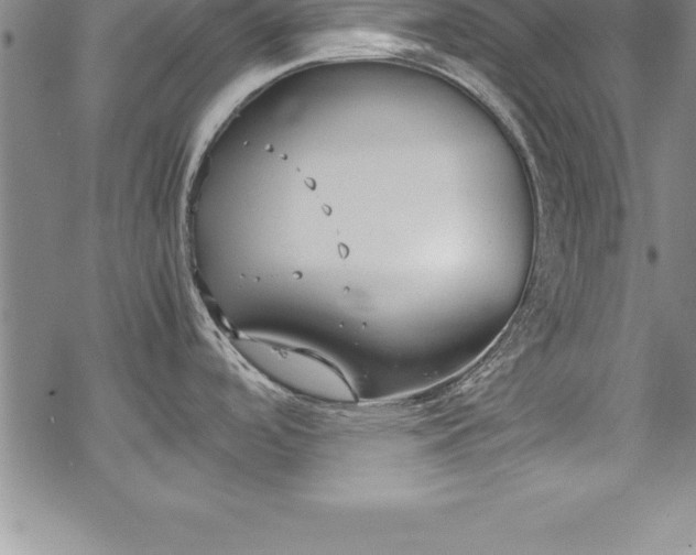 X0000069391488200605150930