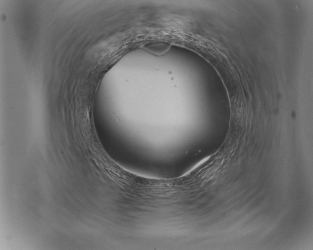 X0000069391489200605150929