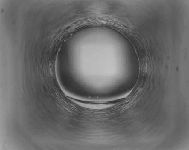 X0000069391490200605150929