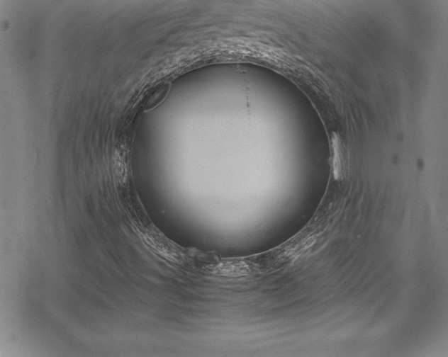 X0000069391491200605150929