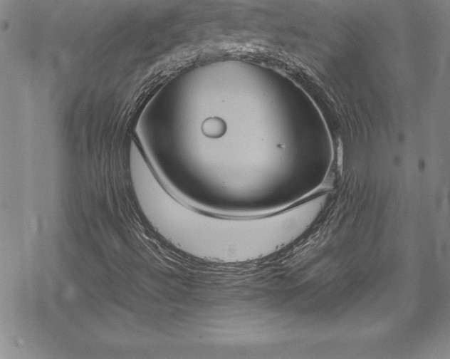 X0000069391492200605150929