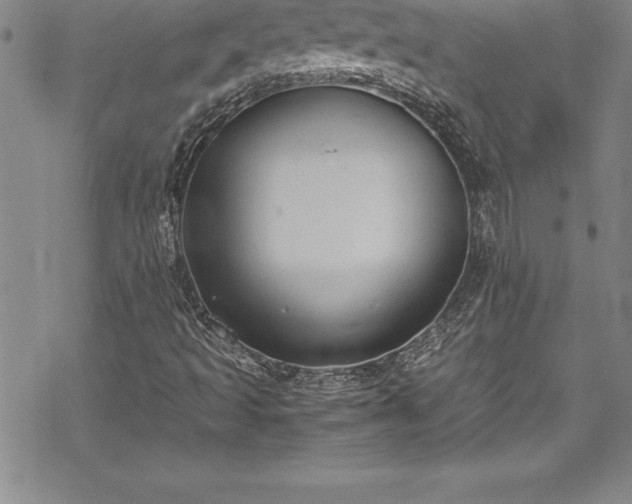 X0000069391493200605150929