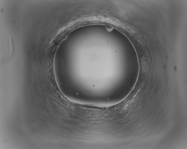 X0000069391494200605150929