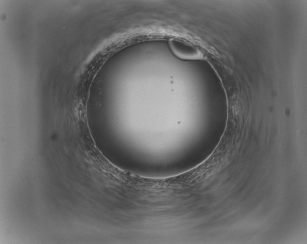 X0000069391495200605150929