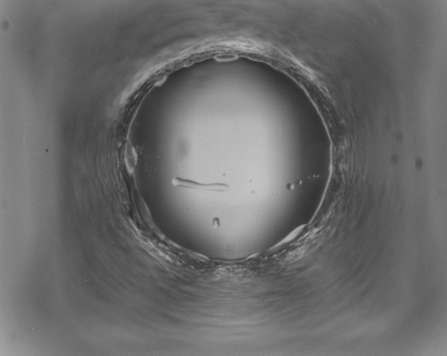 X0000069391496200605150929