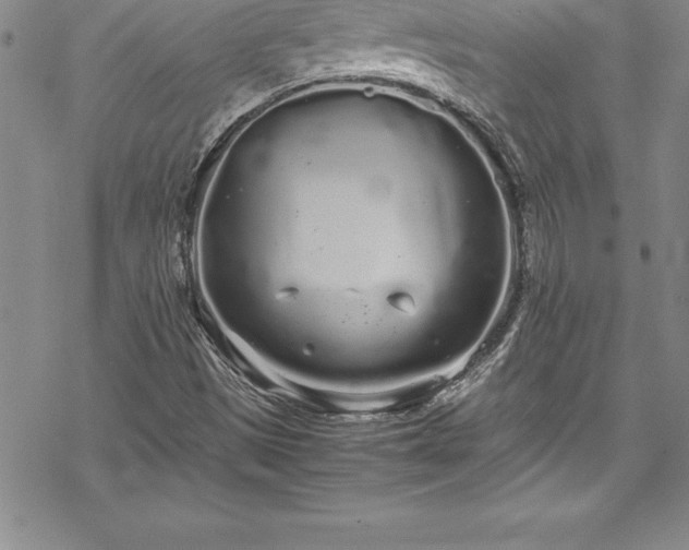 X0000069391497200605150929