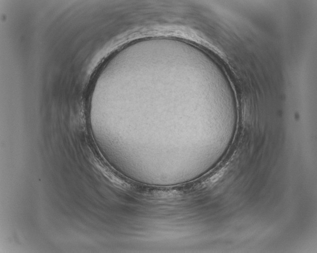 X0000069391498200605150929