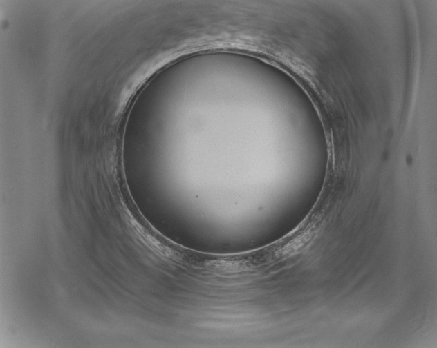 X0000069391500200605150930