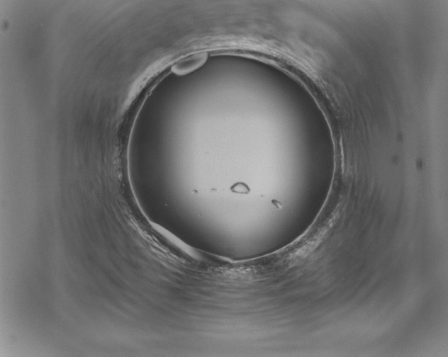 X0000069391501200605150930