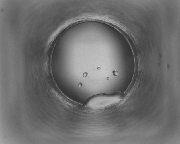 X0000069391502200605150930