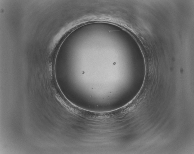 X0000069391503200605150930