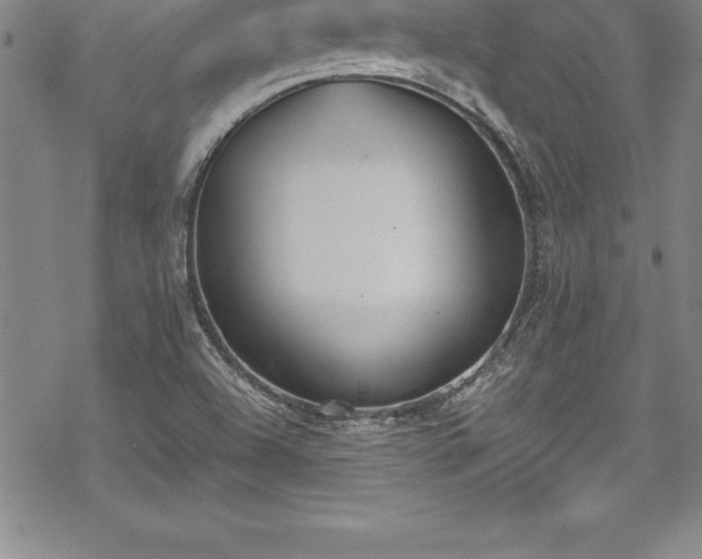 X0000069391504200605150930