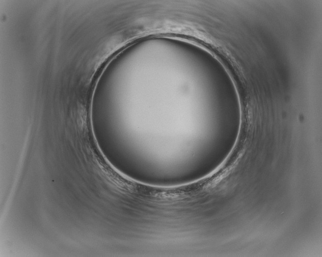 X0000069391505200605150930