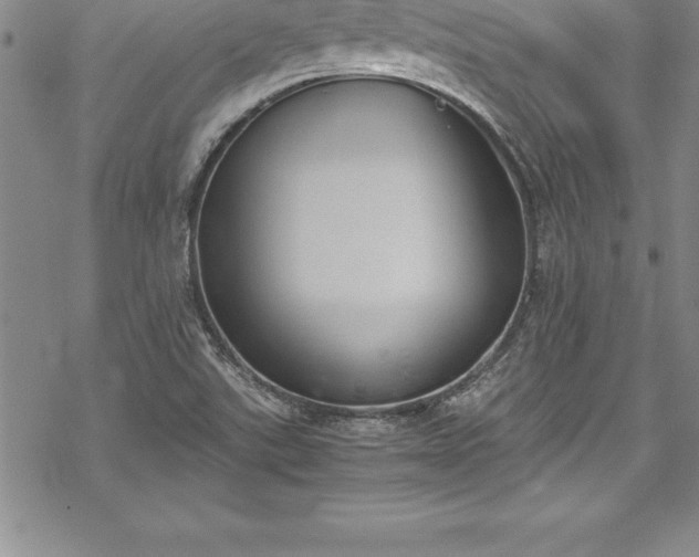 X0000069391507200605150930