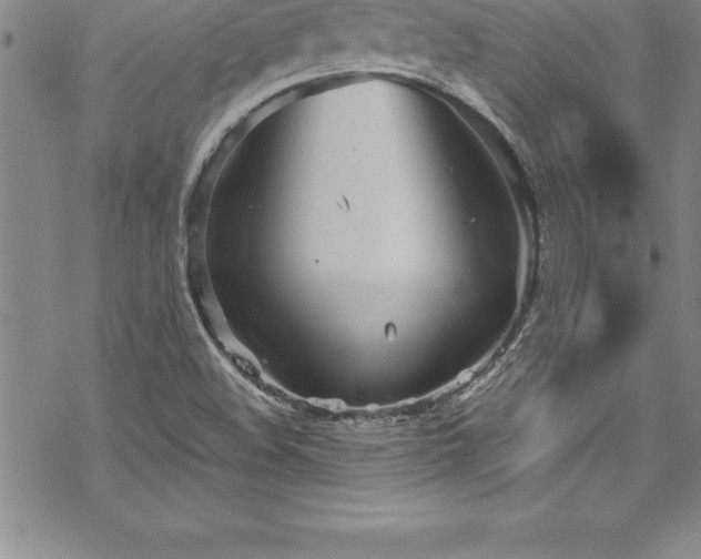 X0000069391508200605150930