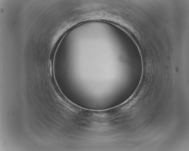 X0000069391509200605150930