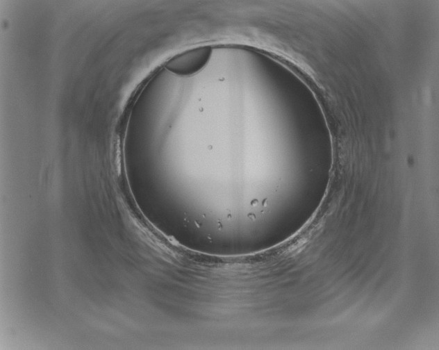 X0000069391510200605150930