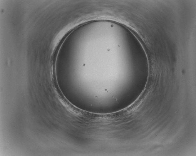 X0000069391511200605150930