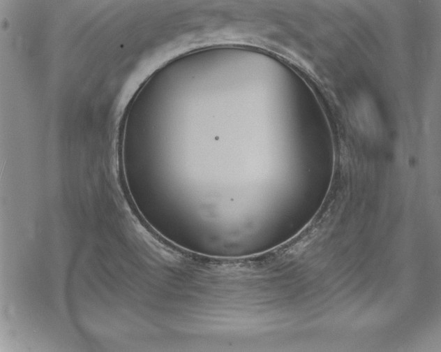 X0000069391512200605150930