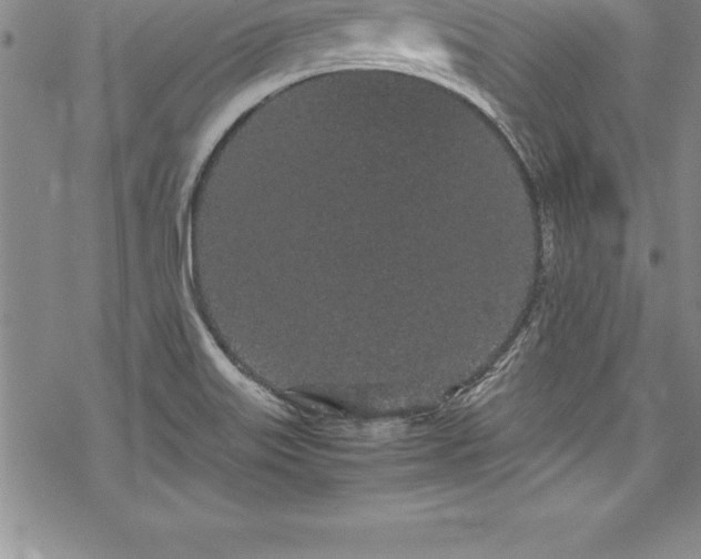 X0000069391515200605150930