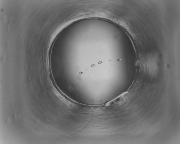 X0000069391516200605150930