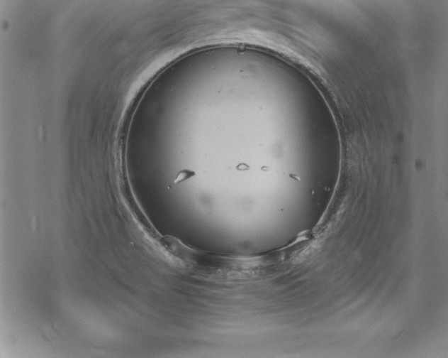 X0000069391517200605150930