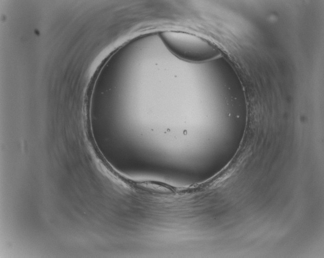 X0000069391518200605150930