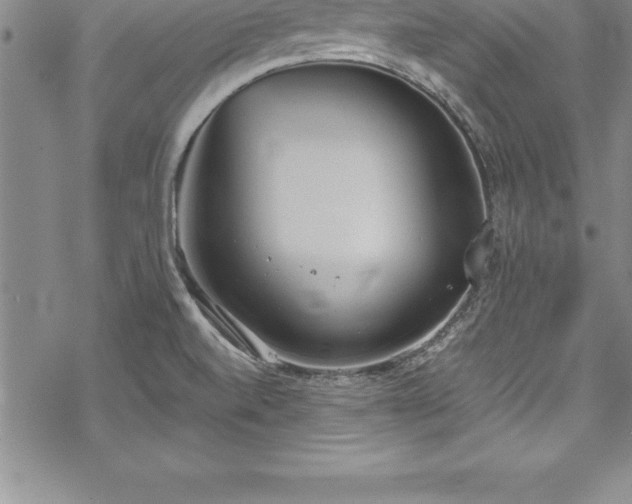 X0000069391520200605150930