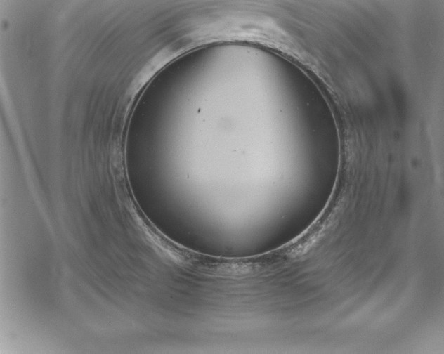 X0000069391521200605150930