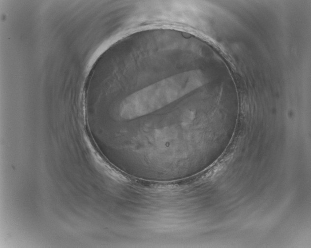 X0000069391522200605150930