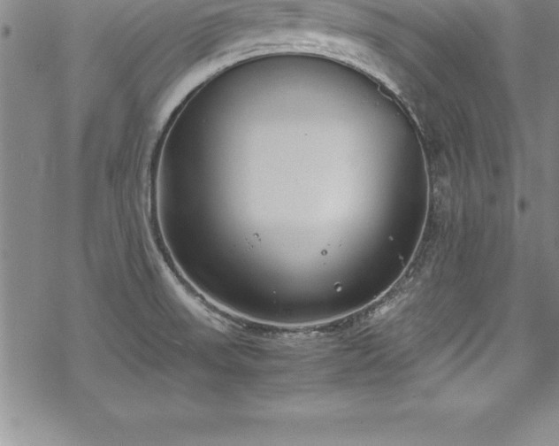 X0000069391523200605150930