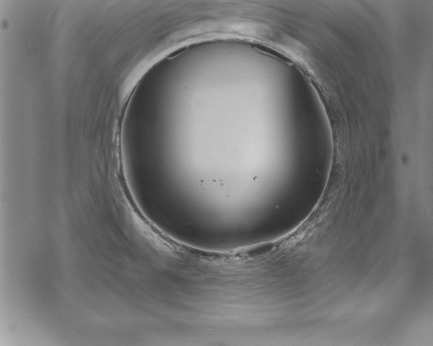 X0000069391524200605150930