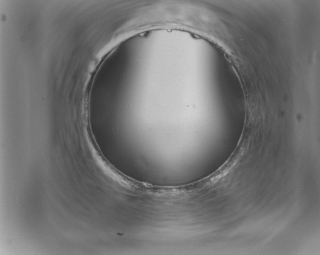 X0000069391526200605150930