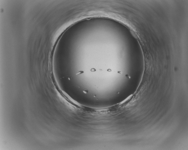 X0000069391527200605150930